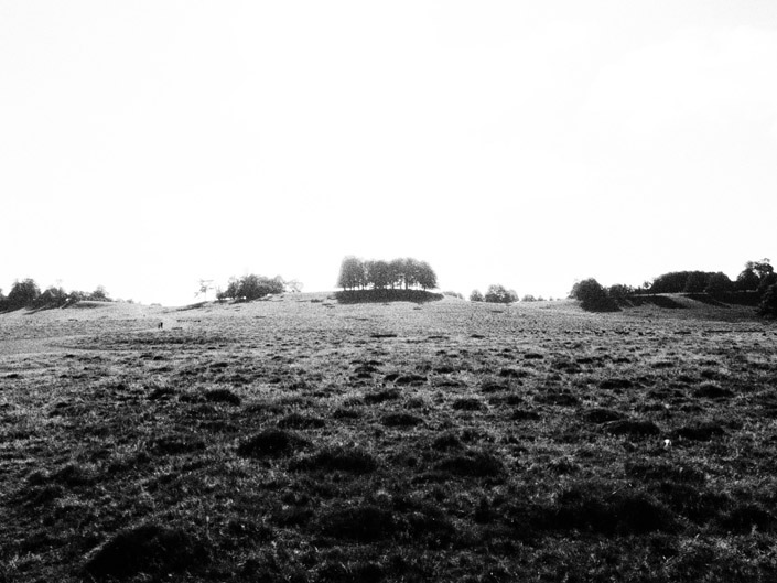 Petworth Park Stock Photography