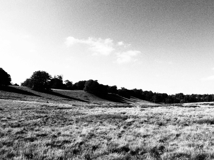 Petworth Park Stock Photography 4