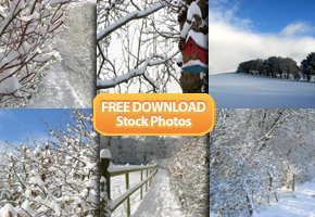 FREE Winter Stock Photography from Tidy Design