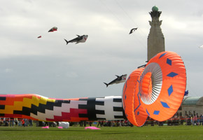 The Kite Society of Great Britain