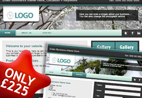 Cheap Startup Company Website and Web Hosting Package for 2011