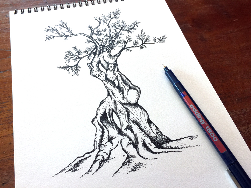 Olive Tree - Pen Sketch