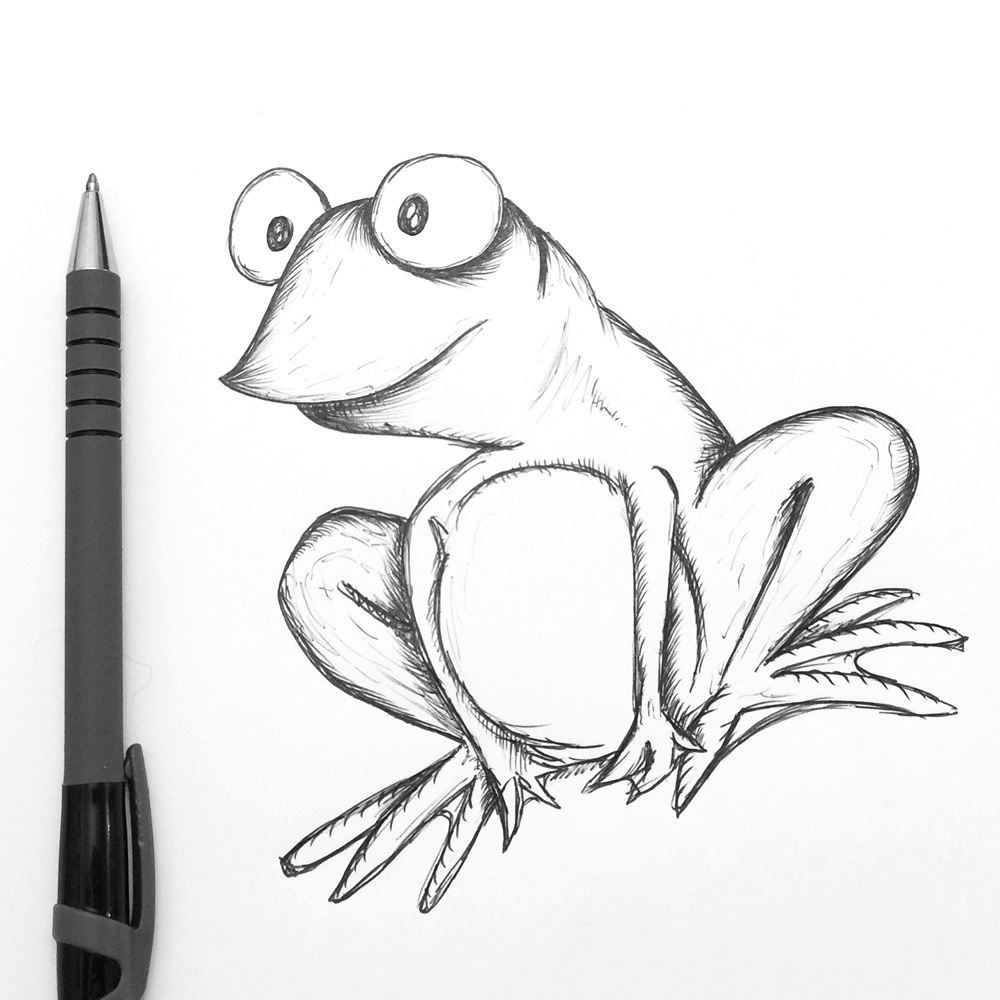 cartoon frog sketch