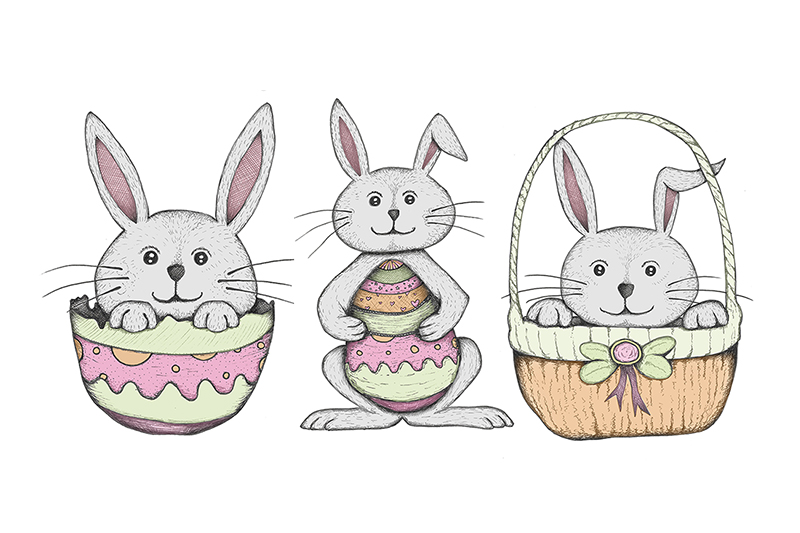 Rabbit, Hare, Easter Bunny, Easter, Cartoon, Cute, Bunny, Drawing,  Template, png | PNGWing