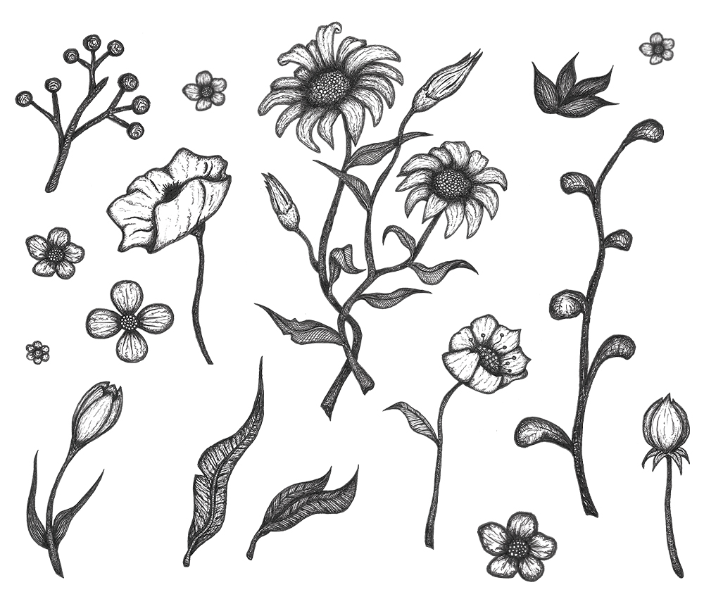 Free Flower Drawings