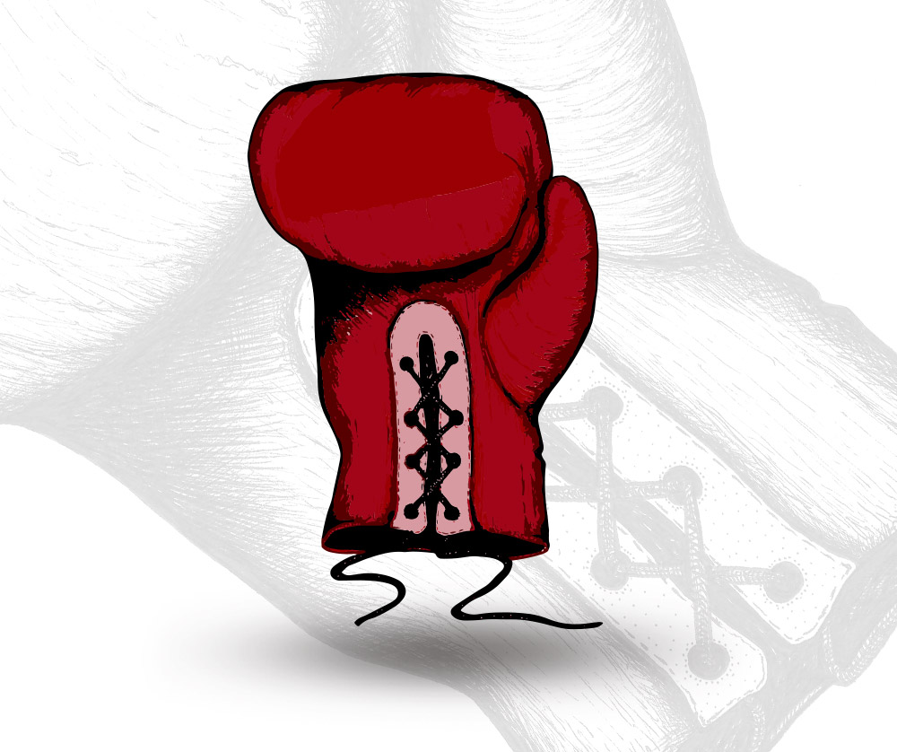 Boxing Glove Vector