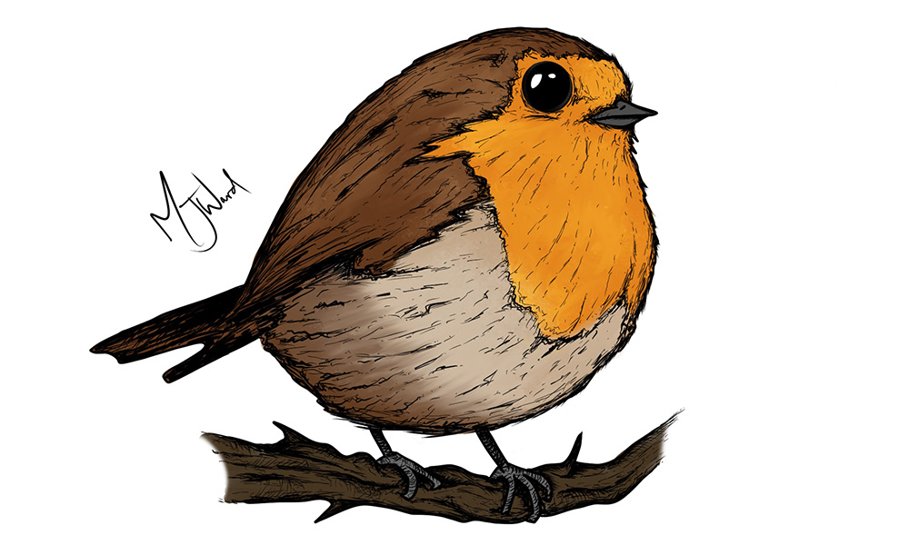 Cute Christmas robin drawing
