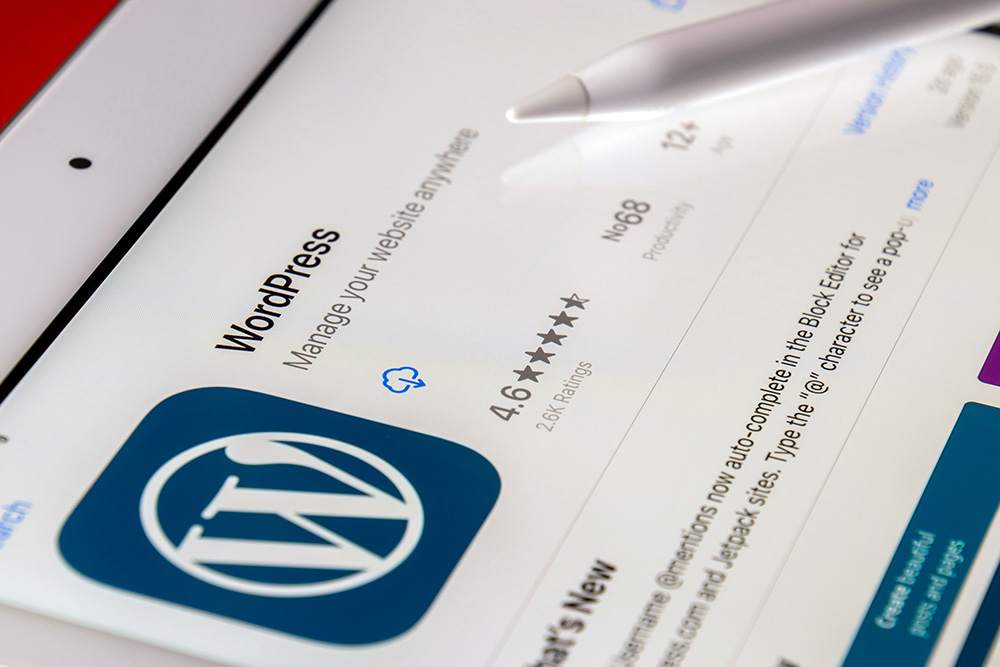 A Brief History of WordPress