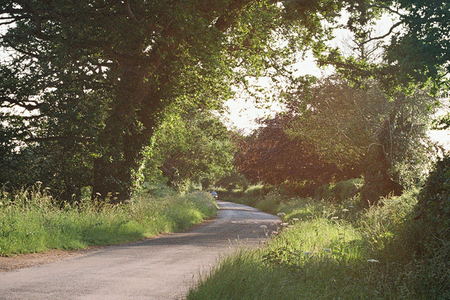 Denmead