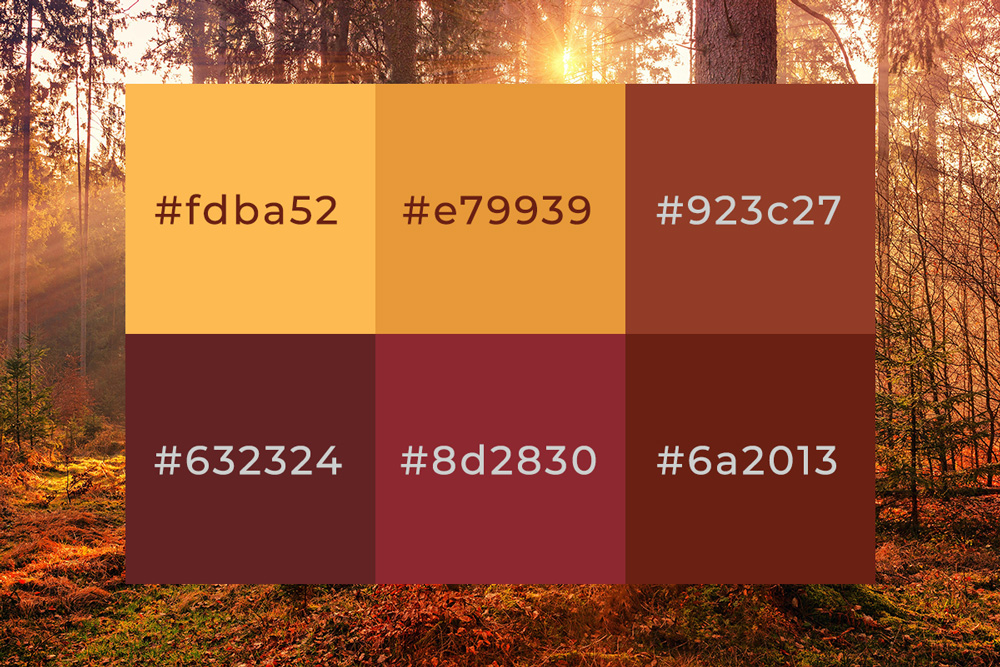 Autumn Colour Palette